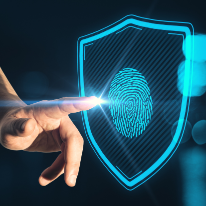 Privacy lock securing sensitive financial data